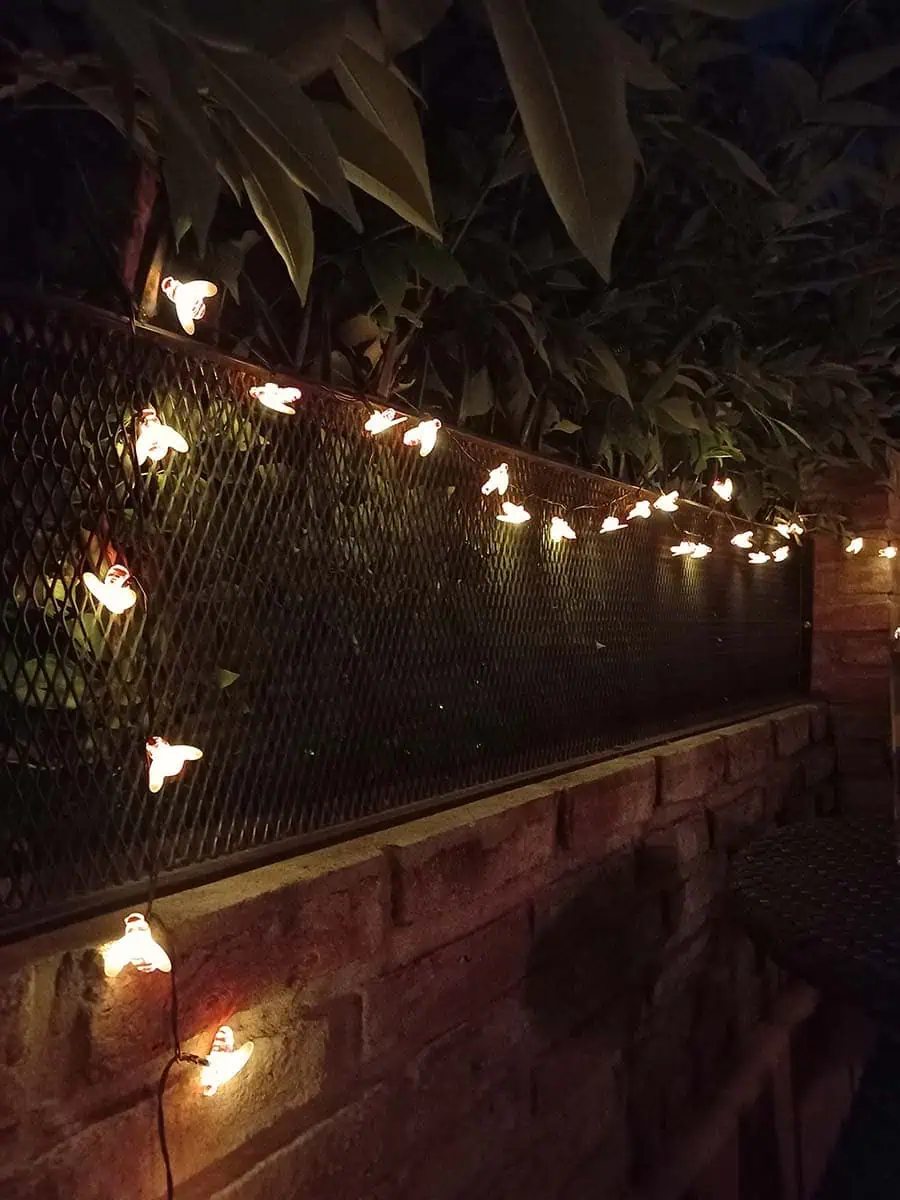 luz solar en forma de tira con avejitas