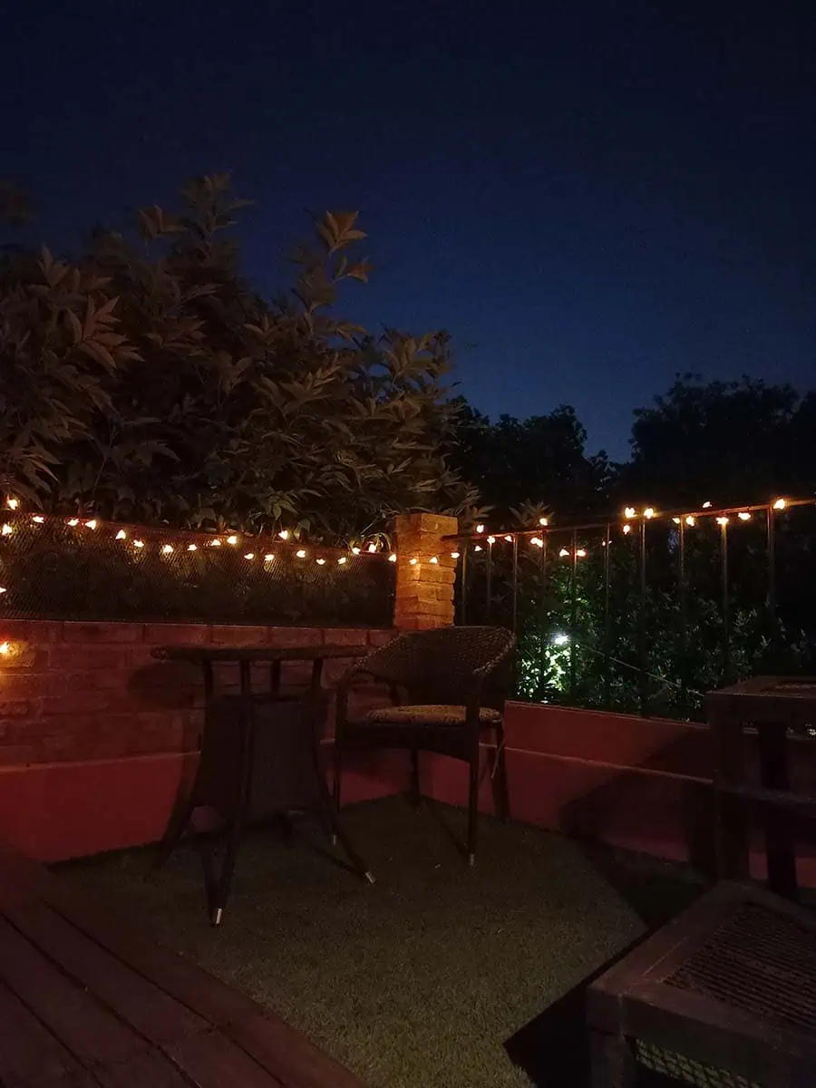 luz solar en forma de tira con avejitas