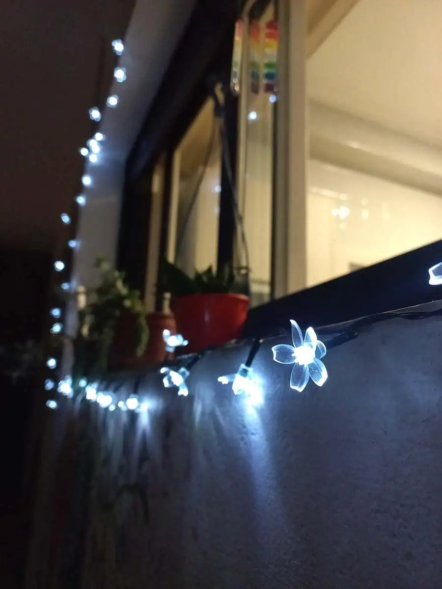 Luz solar con flores