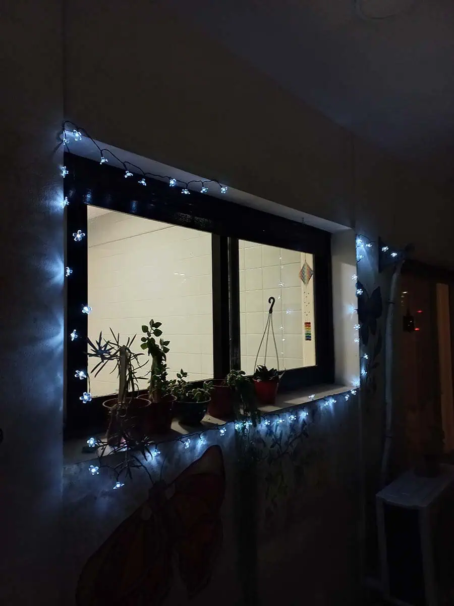 luz solar en forma de tira con flores blancas