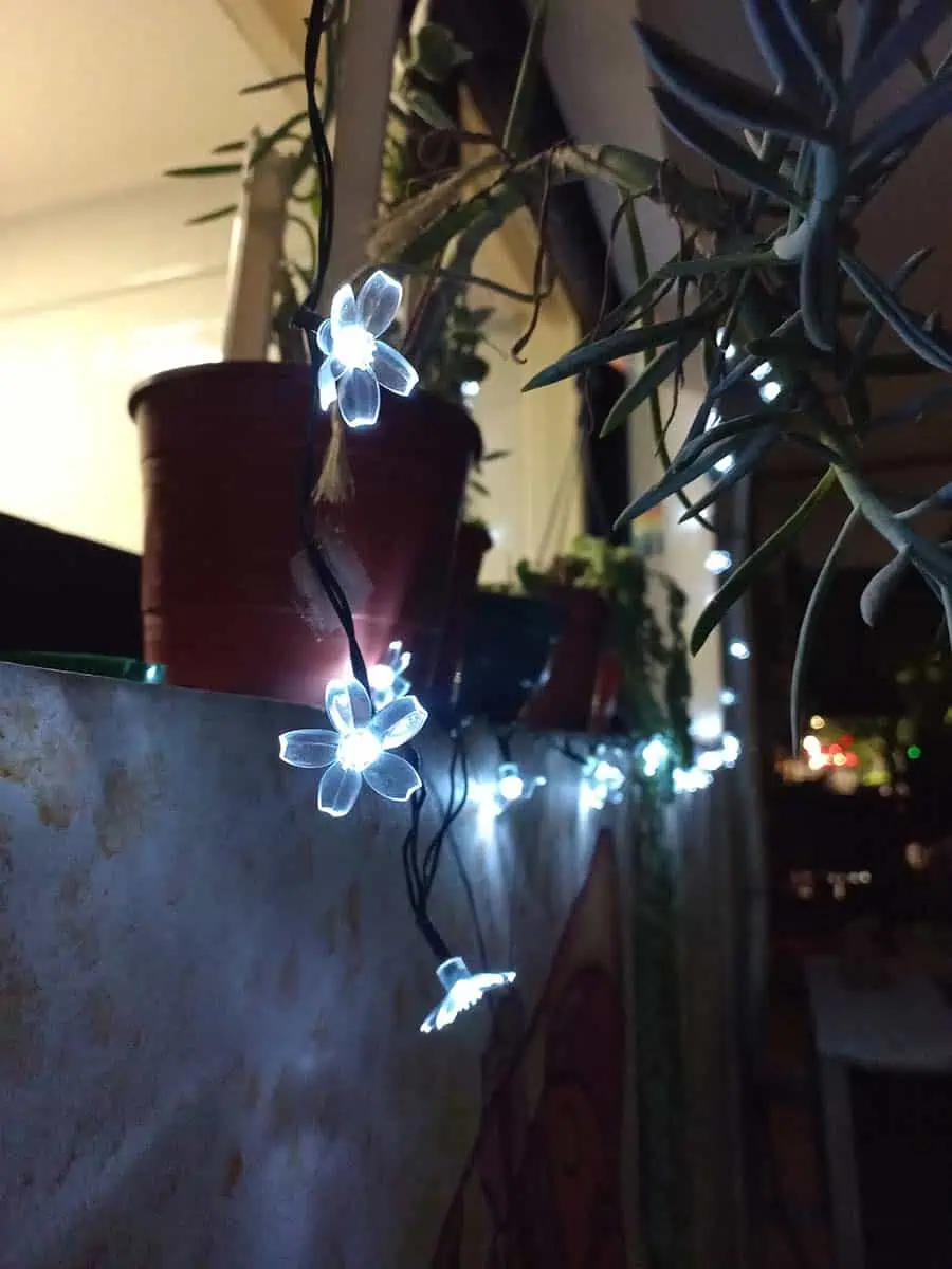 luz solar en forma de tira con flores blancas