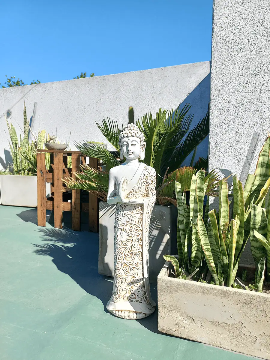 Buda para exterior de Equilibrio de Energía