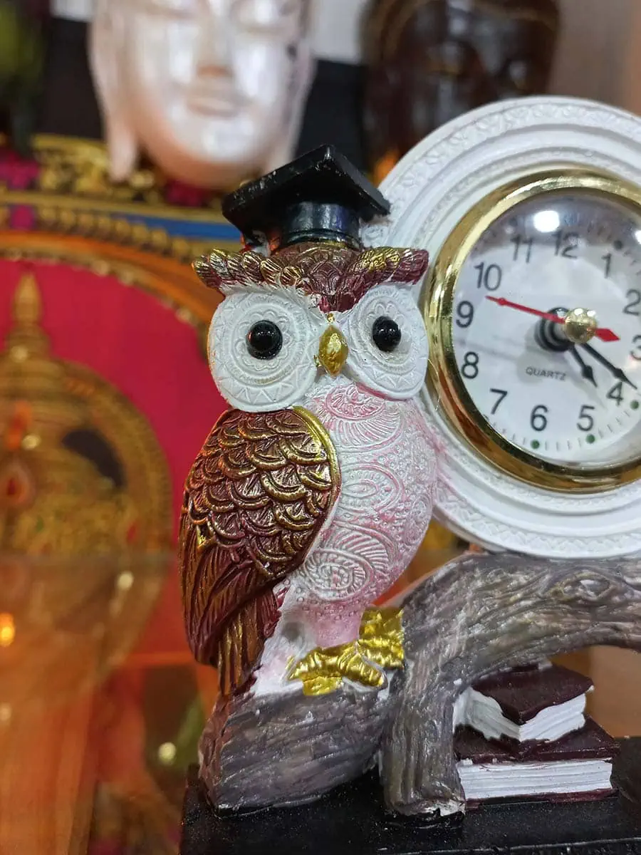 imagen de una lechuza decorativa para la casa