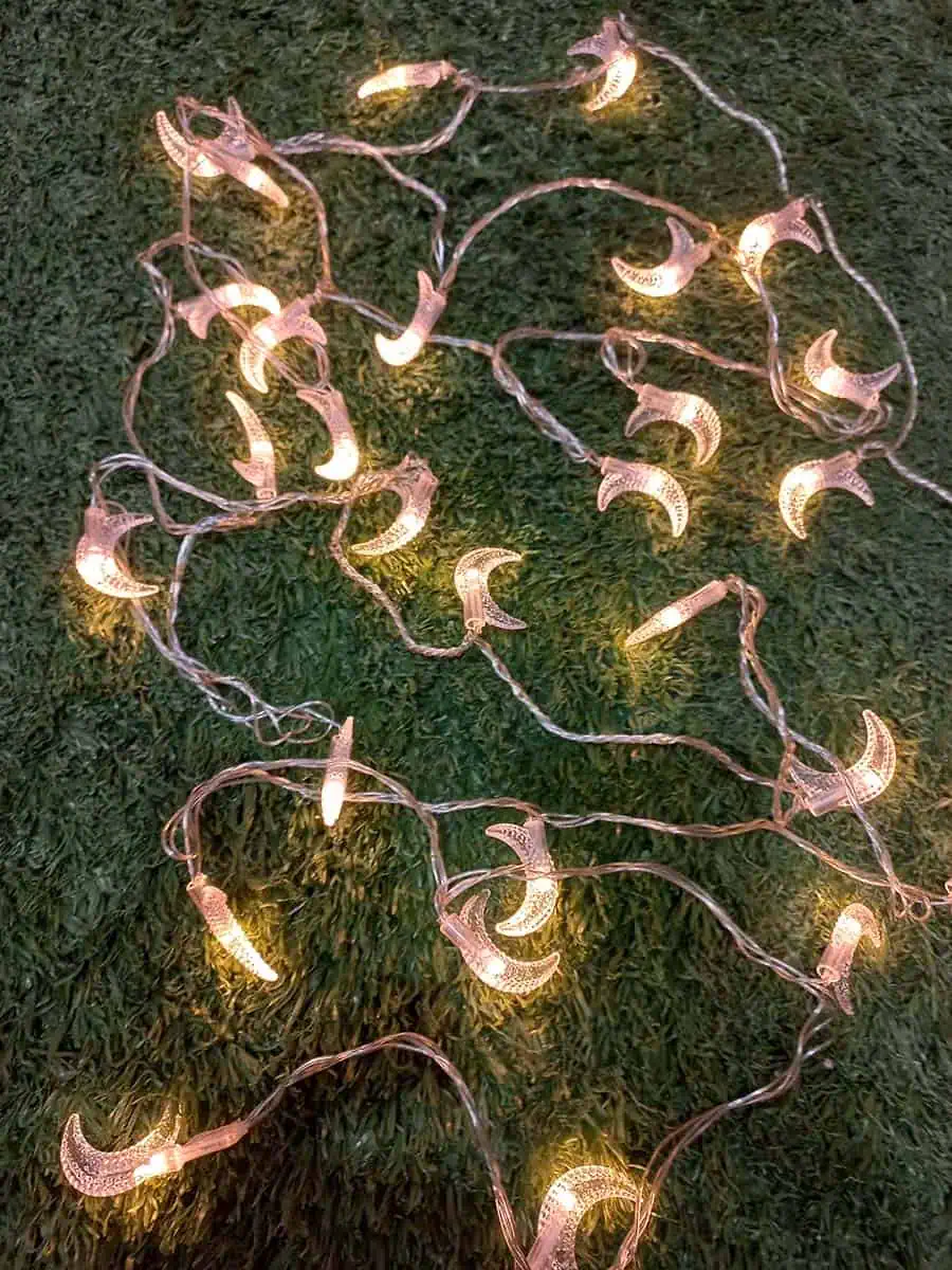 imagen de una tira de luces decorativa larga de lunitas calidas con enchufe