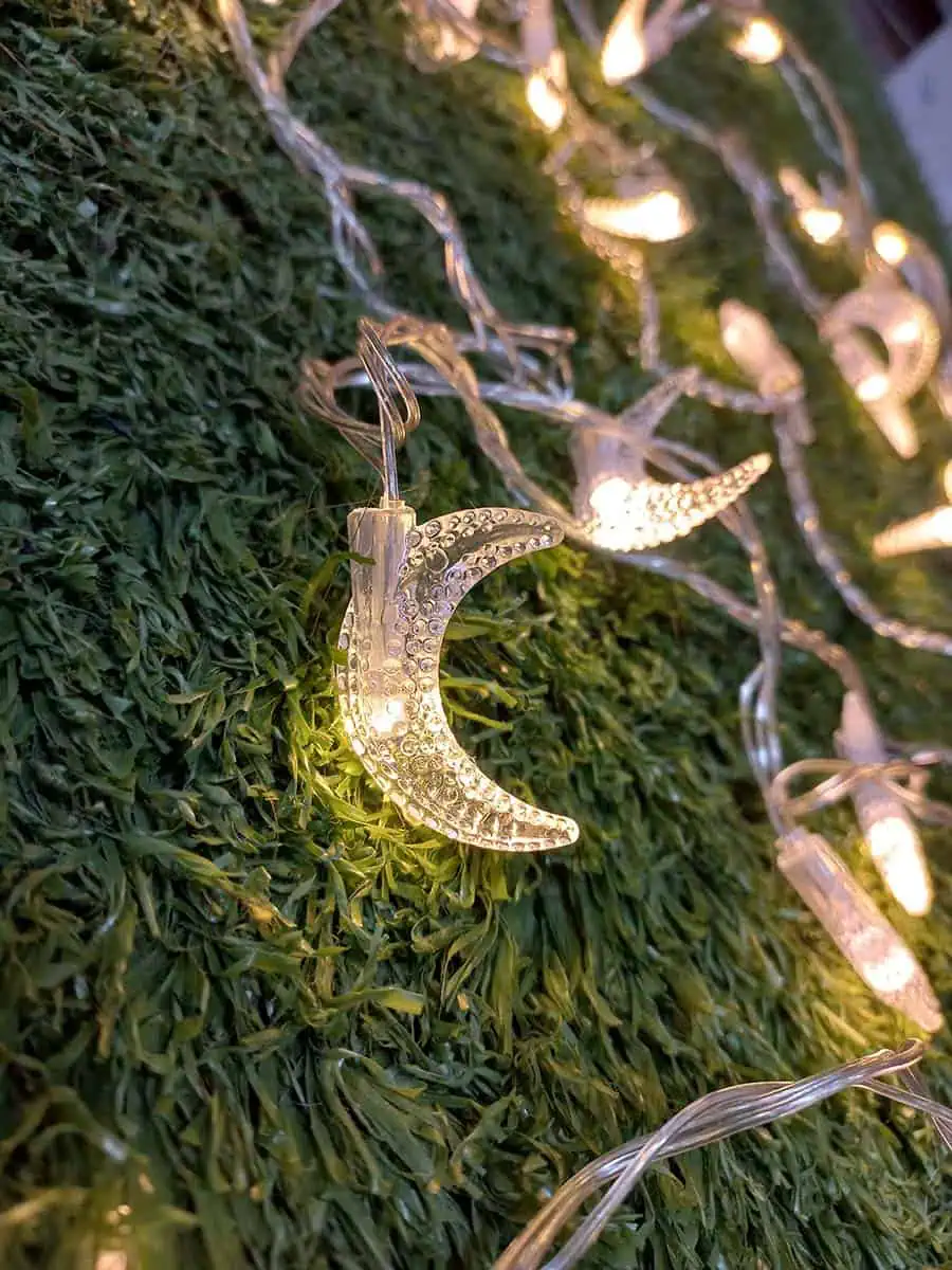 imagen de una tira de luces decorativa larga de lunitas calidas con enchufe