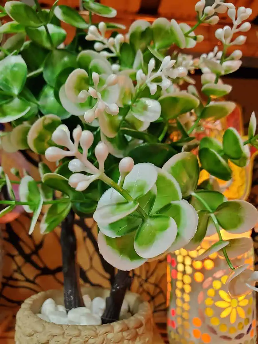 Jazmín de Leche artificial con maceta