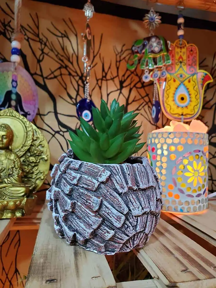 Maceta de Erizo con suculenta artificial