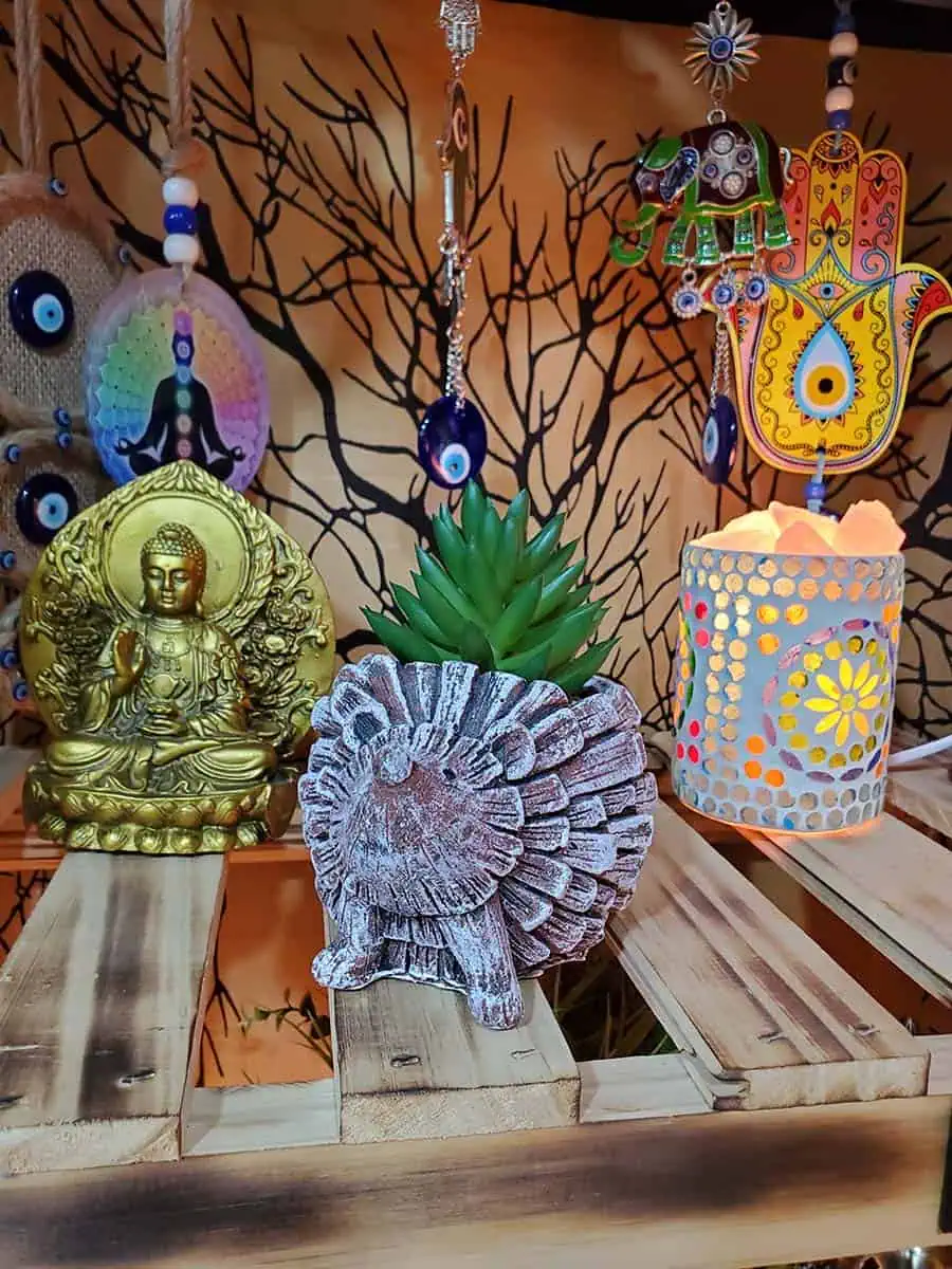 Maceta de Erizo con suculenta artificial