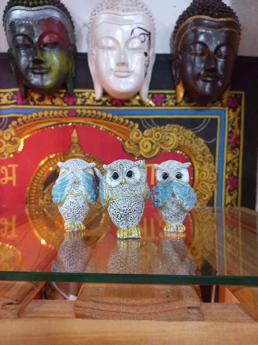 imagen de una lechuza decorativa para la casa